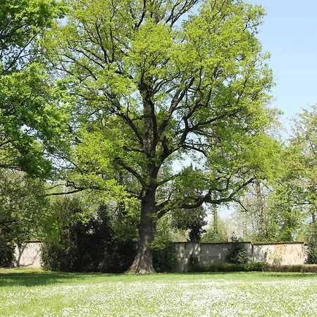 Frühstückspension Storica Quercia 3*